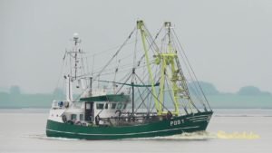 JAN - POG1 -  shrimp trawler ...