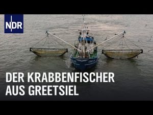 Knochenjob auf dem Krabbenkut...