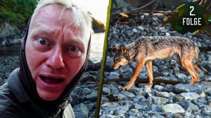 7 vs. Wild: Teams - Wolfsgebi...