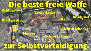 Die beste freie Waffe zur Sel...