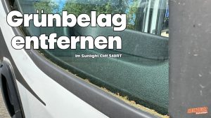 Grünbelag/Moos am Kastenwagen...