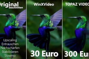 Superscharfe Videos mit 1 Klick? WinXVideo AI vs. TOPAZ VIDEO AI