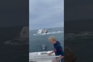 Whale capsized boat